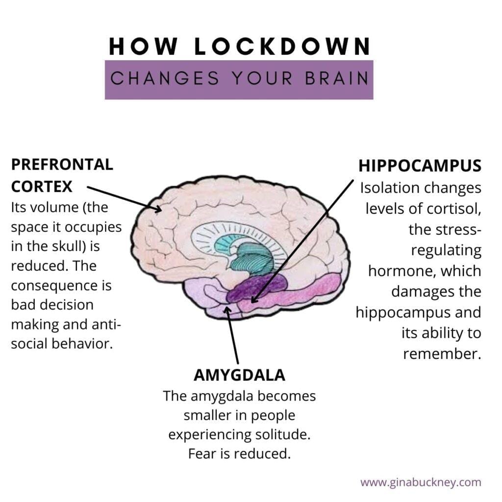 How Lockdown has affected stress