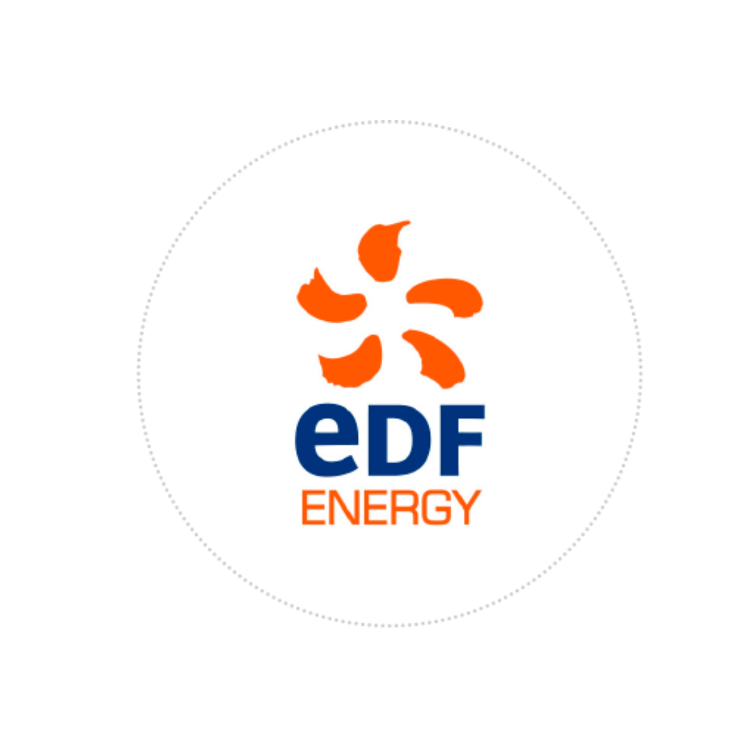 EDF ENERGY Logo