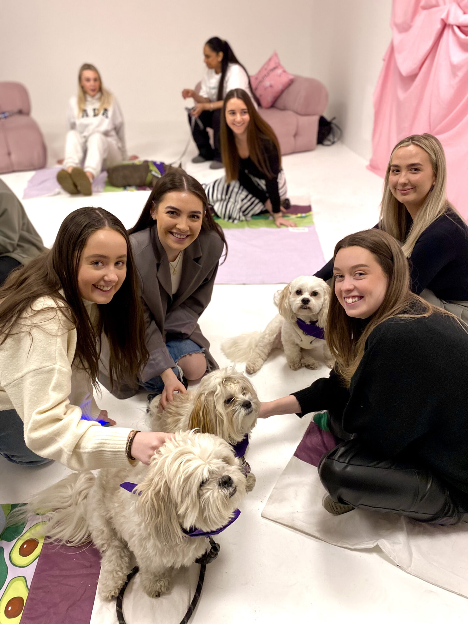 Pet Therapy At Pretty Little Thing