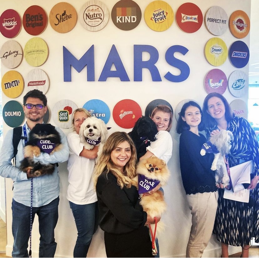 Corporate Pet Therapy Mars