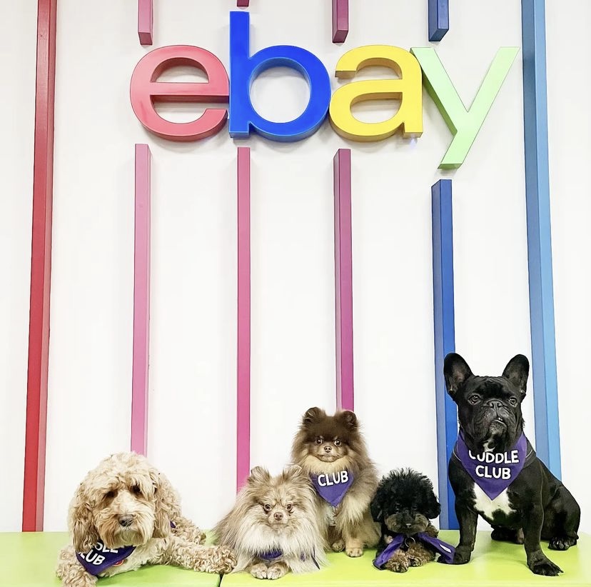 Corporate Pet Therapy Ebay