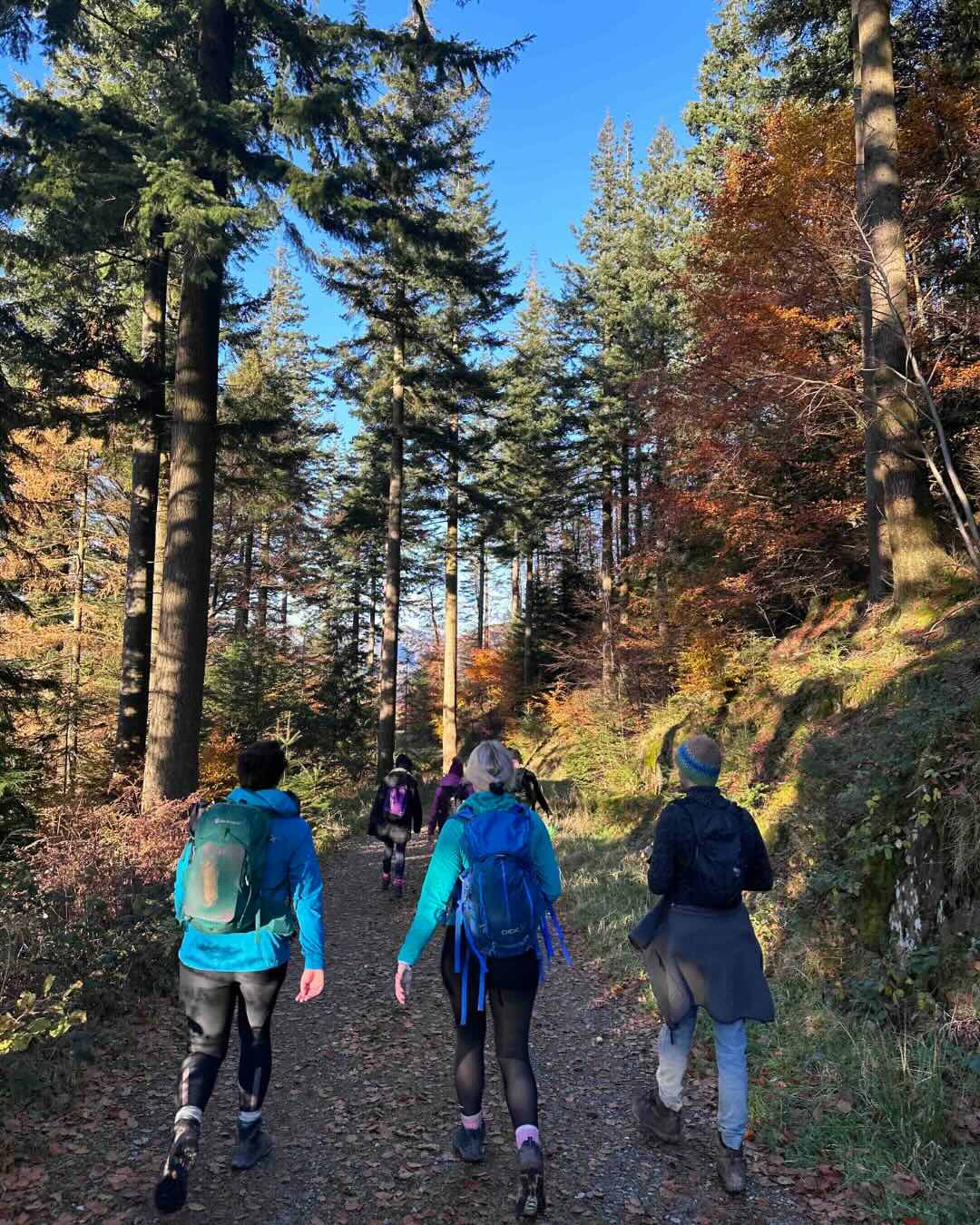 Corporate Outdoor Adventures hosted by Your People Power Corporate Outdoor Adventures hosted by Your People Power